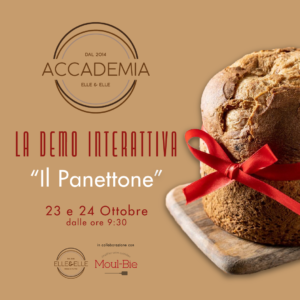 "Il Panettone" - Evento LA DEMO INTERATTIVA Elle&Elle